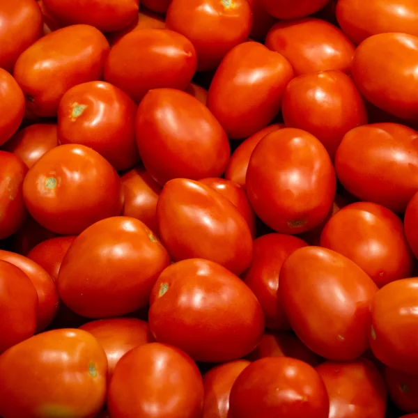 TOMATO